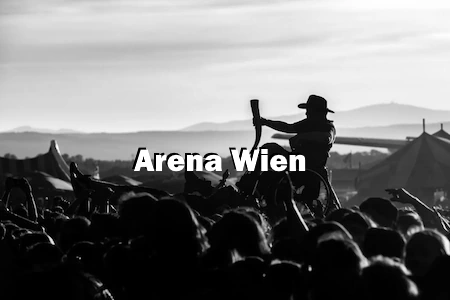 Hoch über den Köpfen, wird ein Mann im Rollstuhl getragen. Davor sieht man die Aufschrift Arena Wien